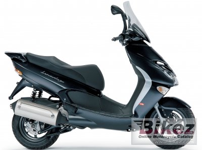 2005 Aprilia Leonardo 300 photo